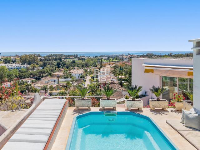 Penthouse to rent in Guadalmina Alta