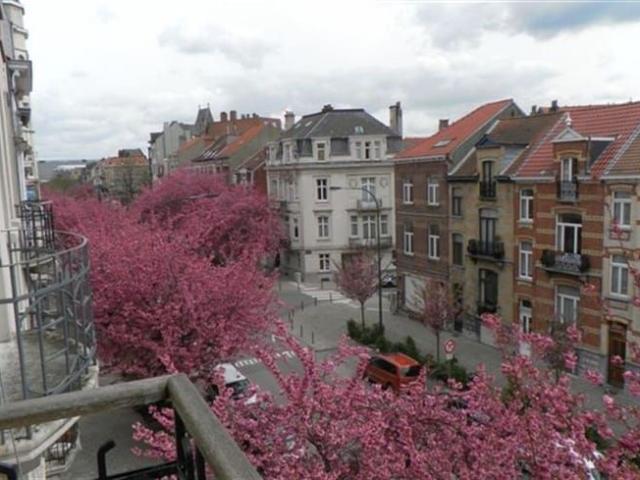Penthouse te huur