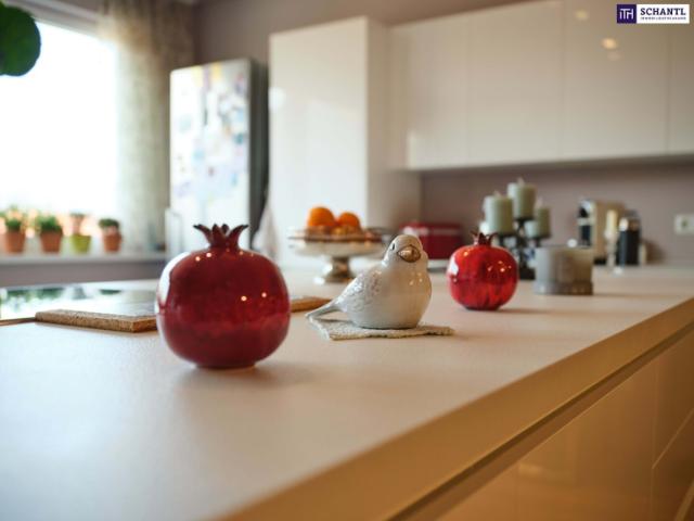 Penthouse über den dächern von graz! Lassen Sie sich von diesem großartigen Penthouse im Kern von Graz überzeugen! Wohlfühlen + nachhaltige Wertanlage