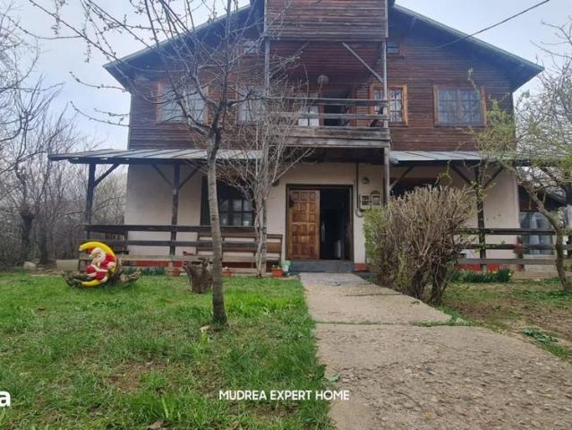 Pentru muncitori / Casa Spatioasa / 7 Camere/ Otopeni