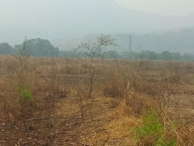 Pen, Panvel 1089 Sq.Ft. Plot in Pen Navi Mumbai Listing ID: #10350