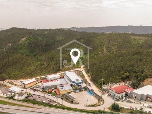 Penacova Penacova 101741743