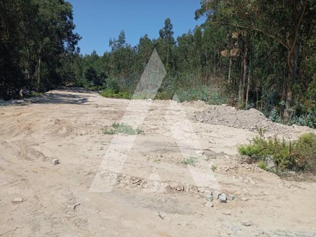 Penafiel Penafiel 97120283
