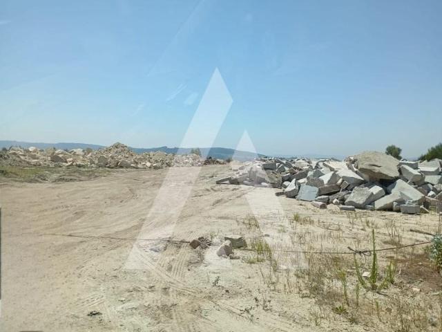 Penafiel Penafiel 97120281