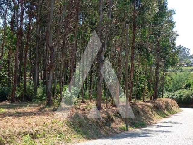 Penafiel Penafiel 99021949