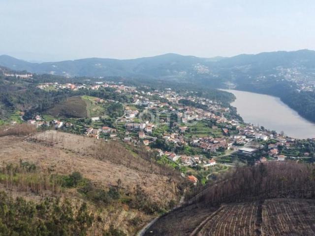 Penafiel Penafiel 100126116
