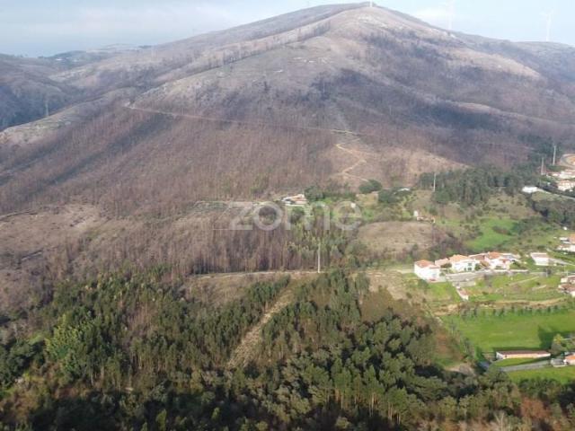 Penafiel Penafiel 100256878