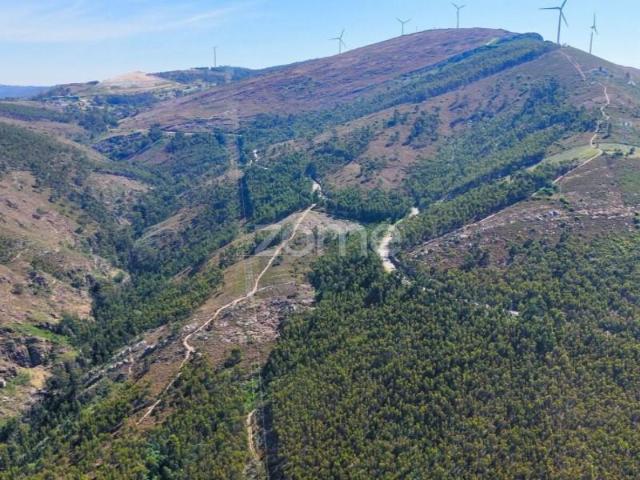 Penafiel Penafiel 103404842