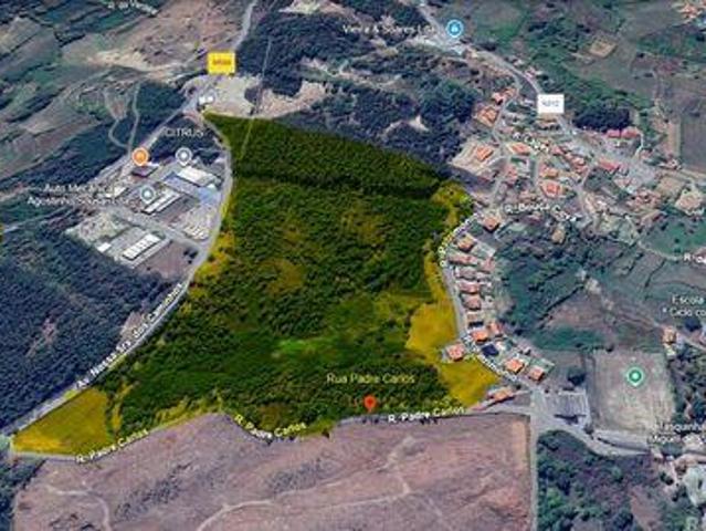 Penafiel Porto 96891300