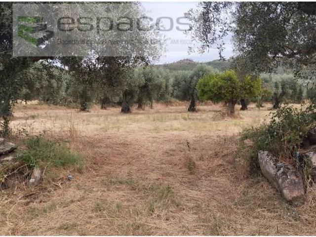 Penamacor Penamacor LS98049884