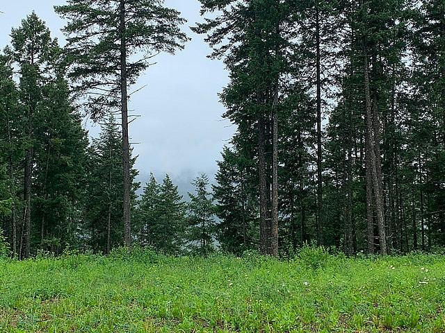 Pending Zoned 4 Season Rec/residential Spruce Trees Wasagaming