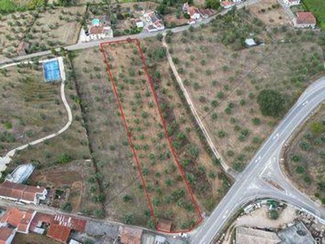 Penela Coimbra 94474357