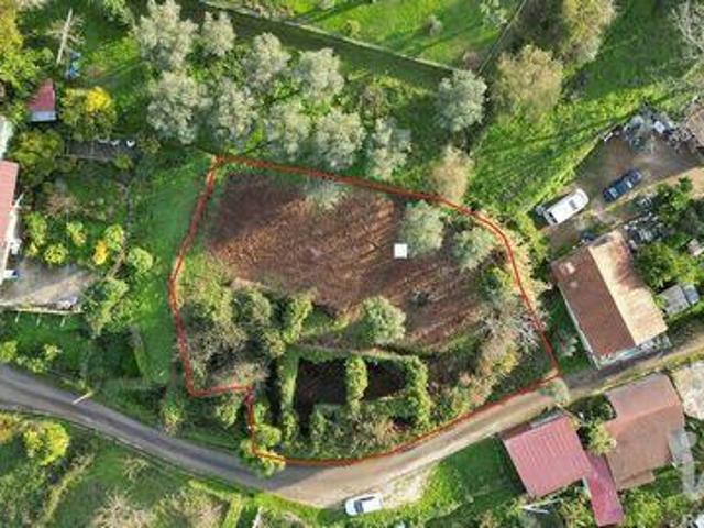 Penela Coimbra 100264924