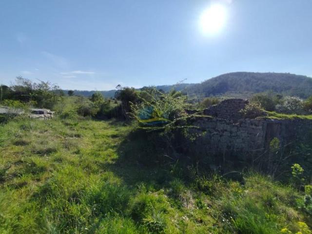 Penela Penela 100496721