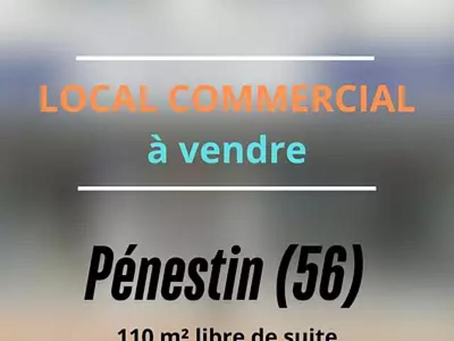 Pénestin 56760 Achat / Vente divers