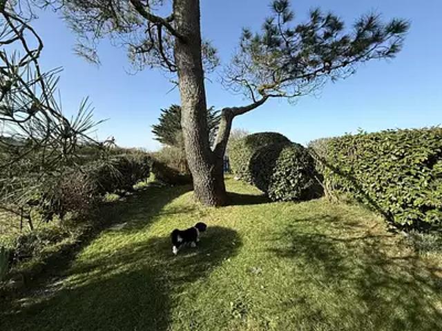 Pénestin 56760 Achat / Vente maison 4 pièces t4 au dernier étage cave