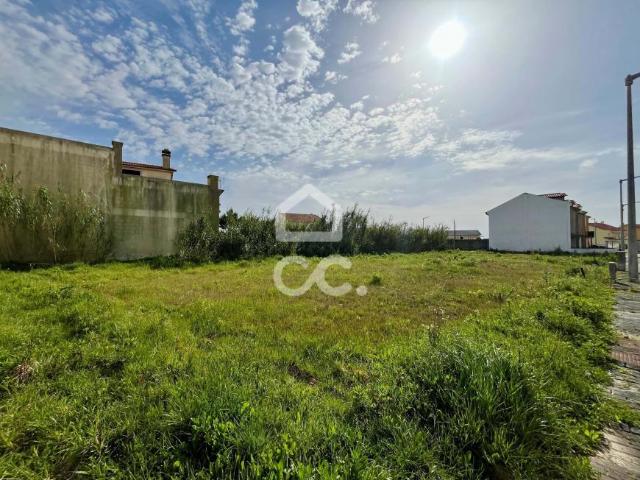 Peniche Leiria 89516187