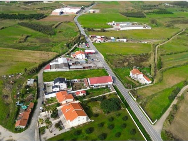 Peniche Peniche 100127196