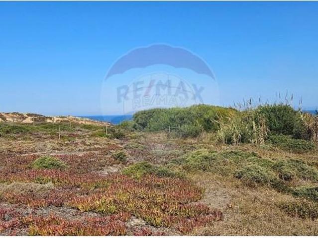 Peniche Peniche 102066840