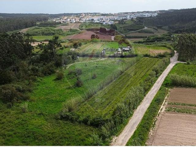 Peniche Peniche 102066857