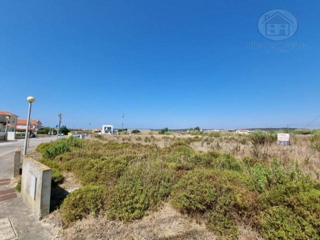 Peniche Peniche 103445728