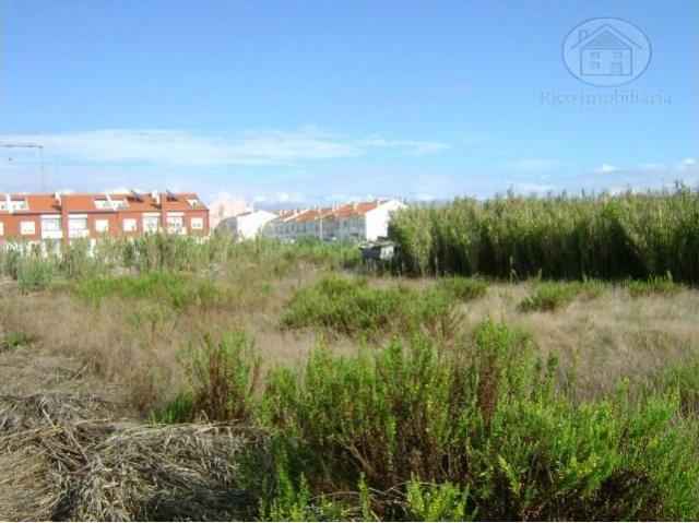 Peniche Peniche 103503860