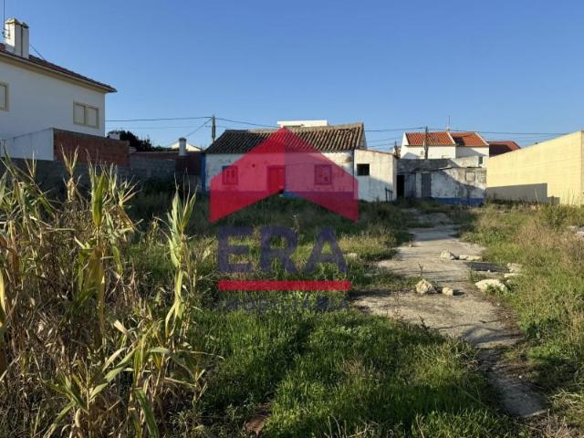 Peniche Peniche 87039268