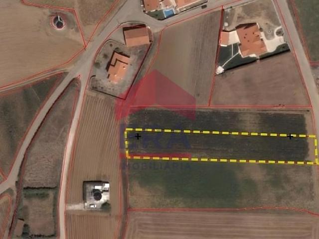 Peniche Peniche 94088527
