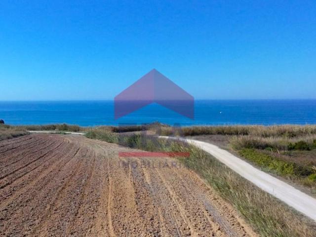 Peniche Peniche 96463096