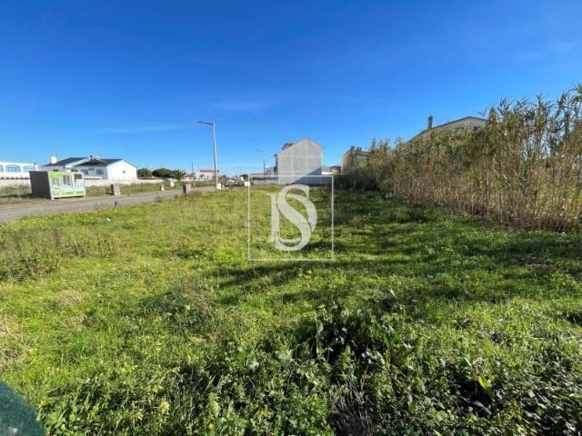 Peniche Peniche 97117920