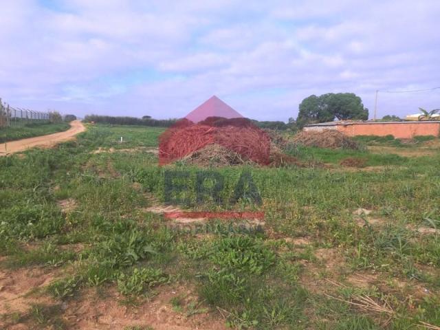 Peniche Peniche 97121678