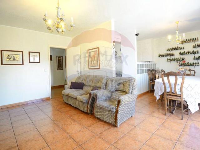 Peniche Peniche LS90742611
