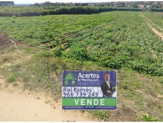 Peniche Peniche LS100198284
