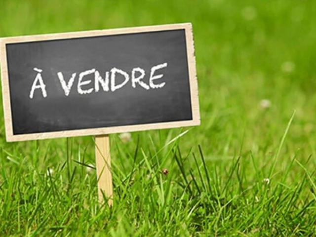 Penol Vente Terrain 38