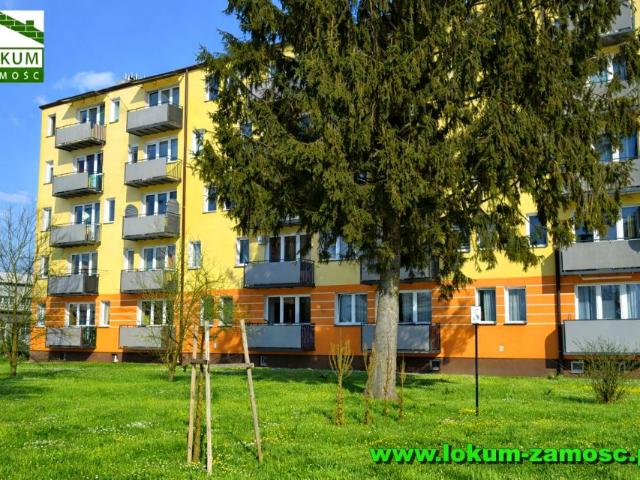Peowiaków 34 m², Zamość