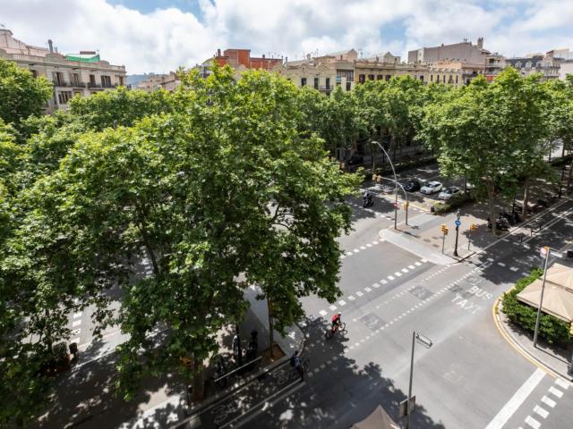 Peaceful double bedroom in a 9 bedroom flat, in Esquerrra de l'Eixample