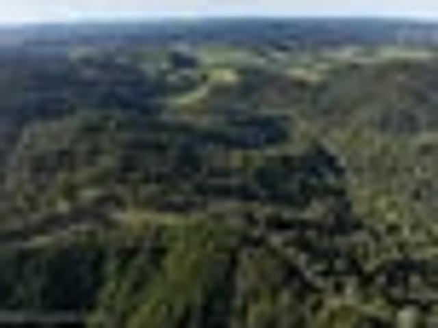 Peaceful, Private Bush Block with Expansive Views