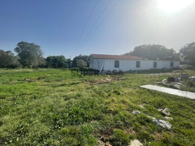 Pecuária e Terreno, Casal da Lagoa Turquel
