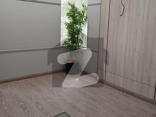 PECHS Block 6 House Sized 1000 Square Yards Is Available PECHS Block 6