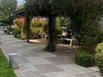 PEDRO FONTOVA