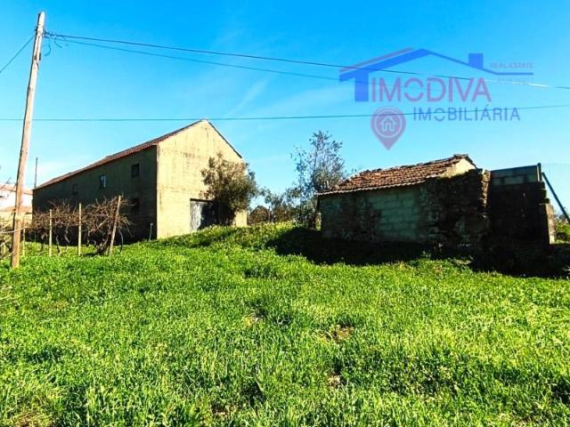 Pedrógão Grande Pedrógão Grande 100014497