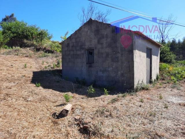 Pedrógão Grande Pedrógão Grande 98387041