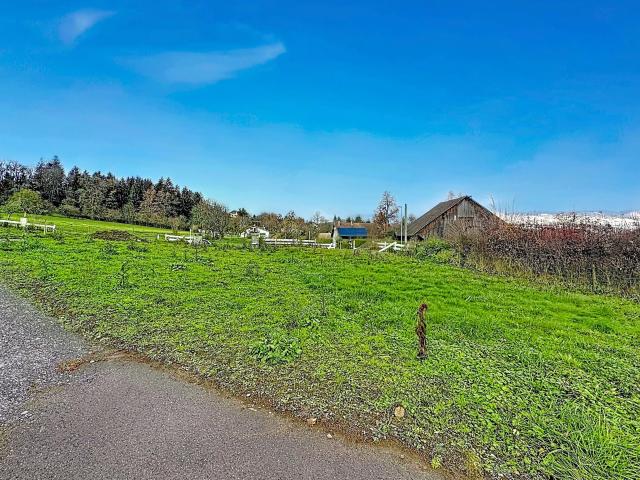 Peillonnex Vente Terrain 74