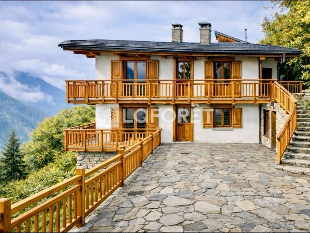 Peisey Nancroix Vente Maison 73