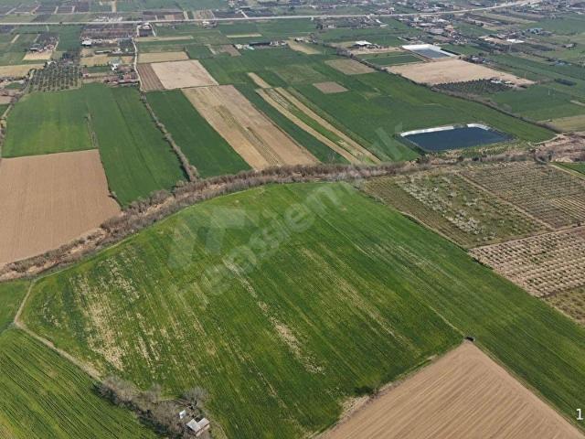 PEK EMLAKTAN 48.850 m2 SATILIK ÇİFTLİK ARAZİSİ