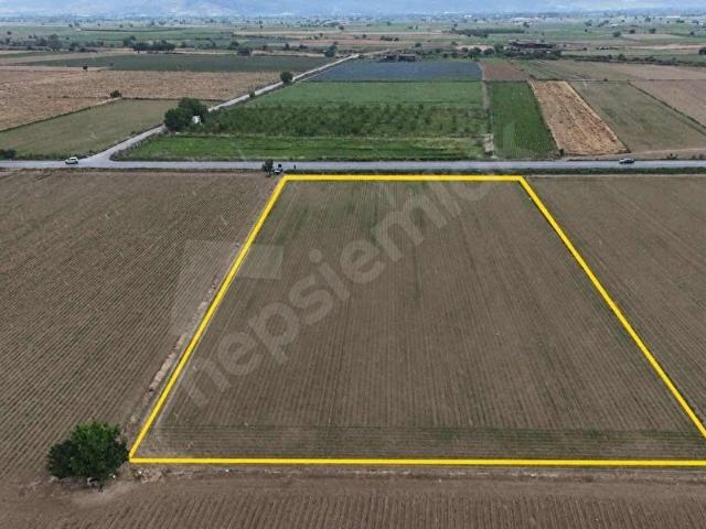 PEK EMLAKTAN İZMİR TİRE ASFALTINA CEPHELİ 6,950m2 SATILIK TARLA