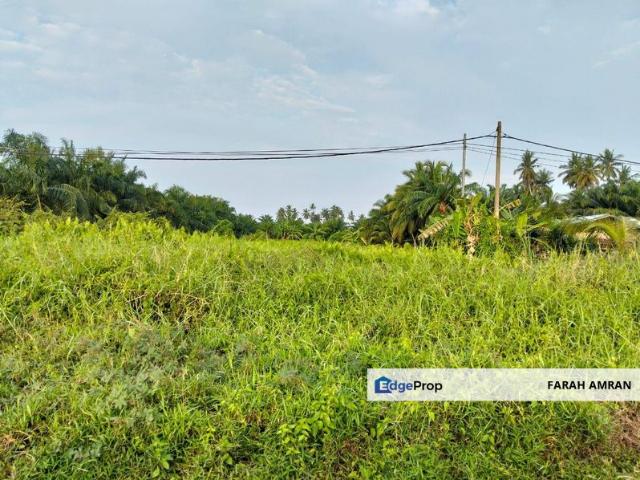 PEKAN TANJUNG KARANG