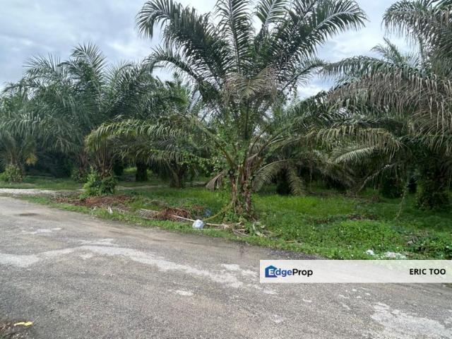 Pekan Gurney