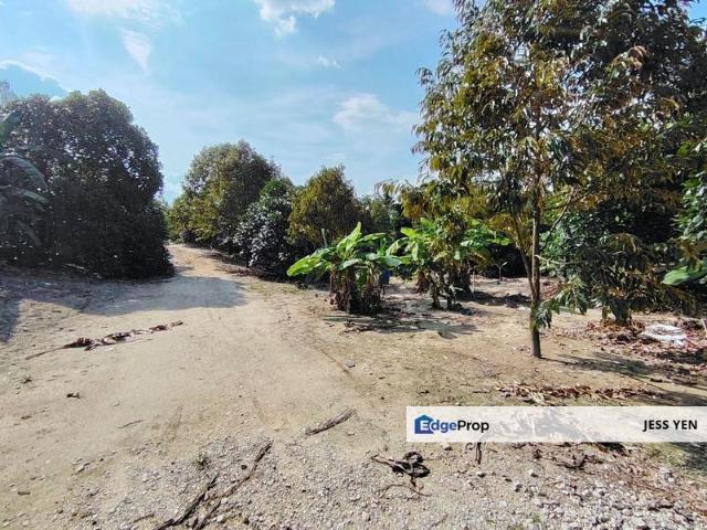 PEKAN MANTIN