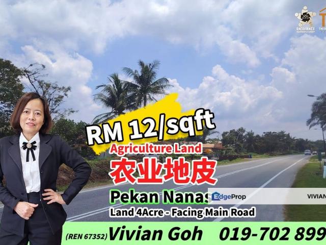Pekan Nanas
